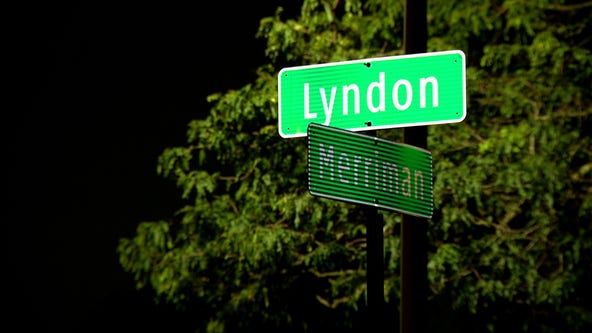 Suspect arrested after Livonia hit-and-run kills child, critically injures mother and daughter