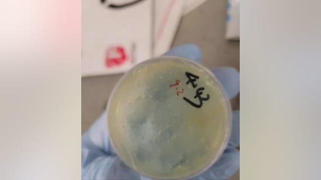 Second Chinese National charged with smuggling biological materials into US at Metro Airport