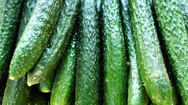 Sushi, salads, vegetable trays containing cucumber recalled over possible salmonella contamination