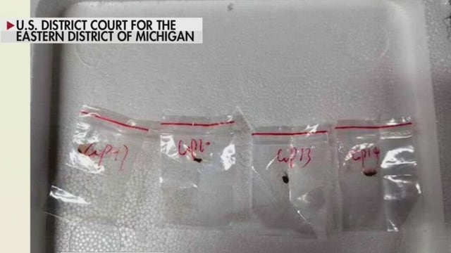 Chinese nationals investigation: MSU expert on alleged smuggled fungus