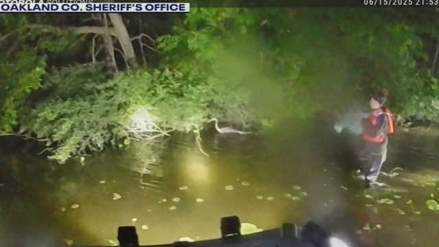 VIDEO: Great Blue Heron rescued from Oakland County lake after being tangled in fishing line