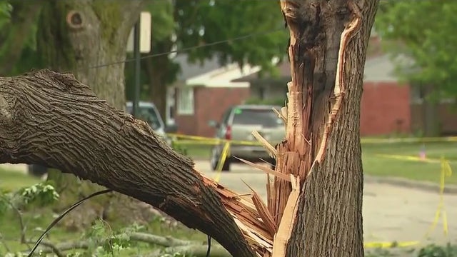 Metro Detroit experiences damage amid tornado, severe weather