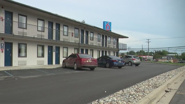 Over 50 cats found in Farmington Hills motel room