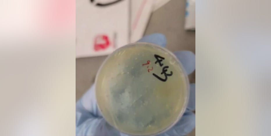 Second Chinese National charged with smuggling biological materials into US at Metro Airport