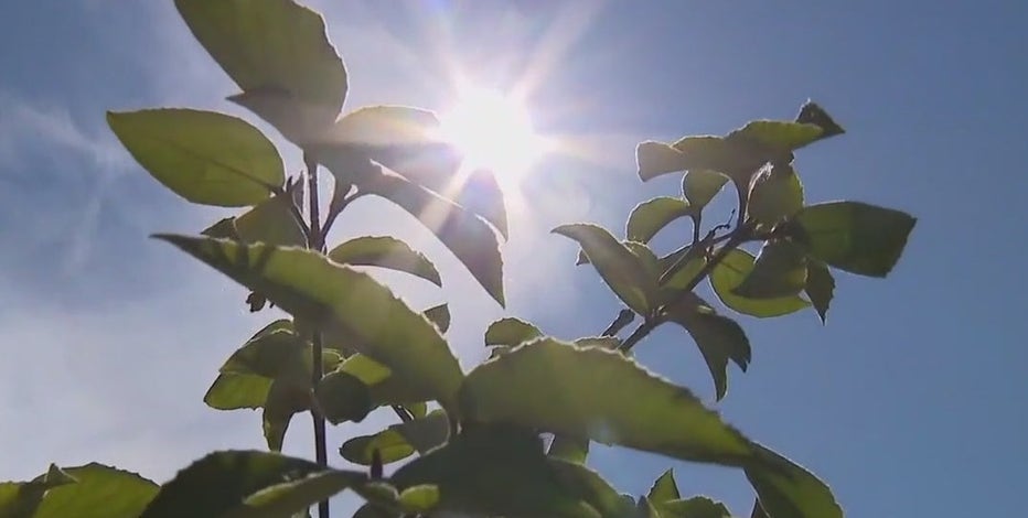 When will Detroit's heat wave end? Latest forecast shows relief on the way