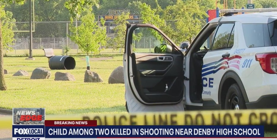 Detroit 4-year-old killed climbing ladder at playground: 'Didn't even get to go down the slide'