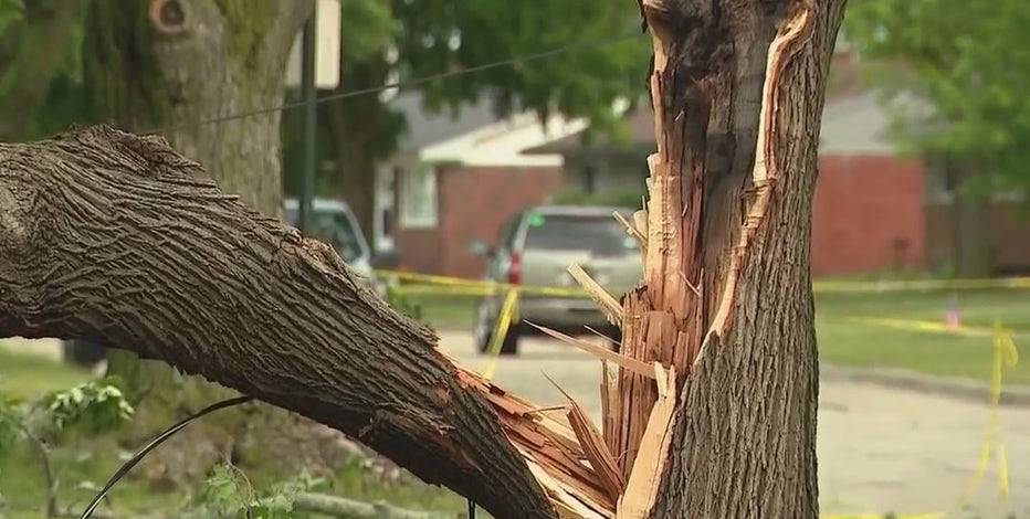 Metro Detroit experiences damage amid tornado, severe weather