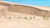 Fenton 9-year-old saved from being buried in sand at Silver Lake dunes