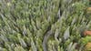 Want to buy an island? Michigan DNR land auction includes tiny inland lake plot