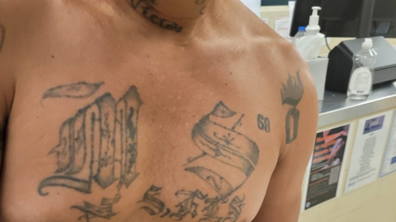 Detroit Border Patrol Arrests MS-13 Member, Accomplice in Sterling Heights