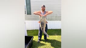 Massive flathead catfish sets new record in Monroe County