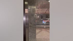 Two arrested after shots fired at Guardian Building in Detroit