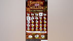 'I think I just won $1 million': 79-year-old woman wins on Michigan Lottery scratch-off ticket