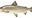 Lake whitefish numbers continue perilous decline as NRC set to discuss problem