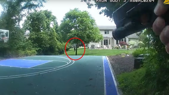 Suspect shot by police after breaking into Michigan home, attacking random victims