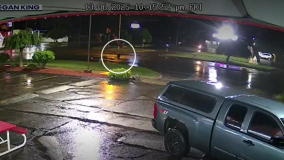 Westland hit-and-run: Police search for suspect, GoFundMe setup for victim