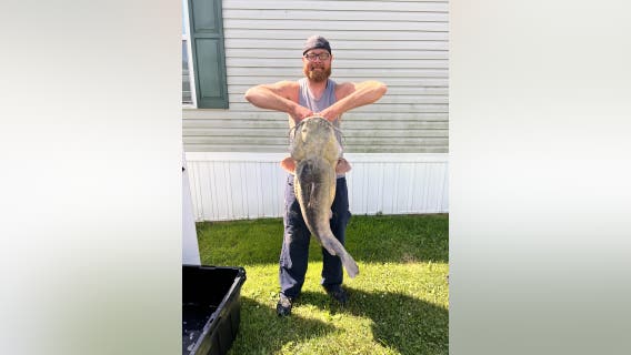 Massive flathead catfish sets new record in Monroe County