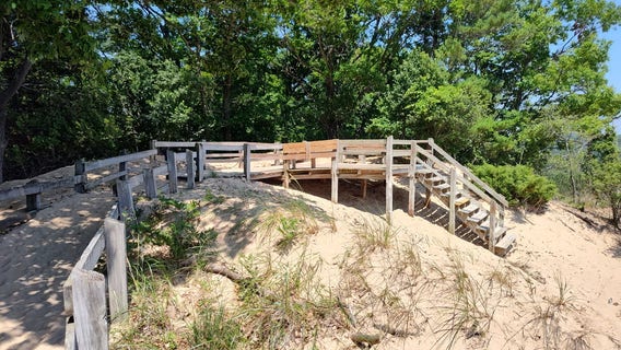 Wooden skyline over Michigan dunescape at Ludington State Park getting $3.5M renovation