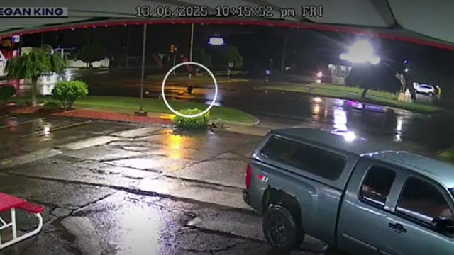 Westland hit-and-run: Police search for suspect, GoFundMe setup for victim