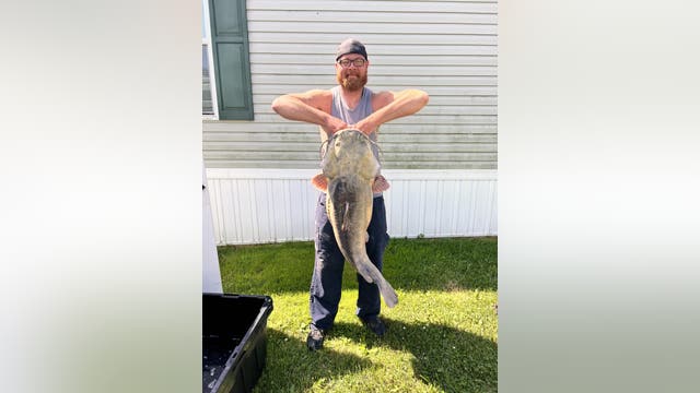 Massive flathead catfish sets new record in Monroe County