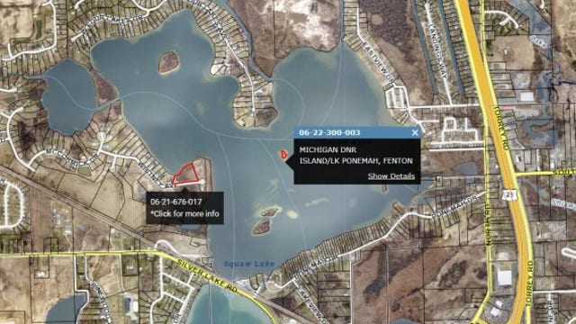 Michigan DNR land auctions: Why the state sells off properties