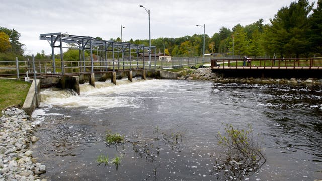 Sea lamprey barrier will protect vital Michigan egg spawning site