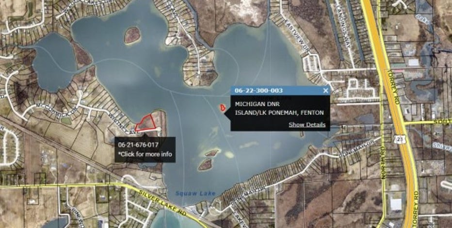 Michigan DNR land auctions: Why the state sells off properties