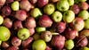 LIST: Southeast Michigan cider mill opening dates