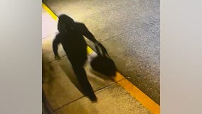 High dollar comic books stolen from Madison Heights shop