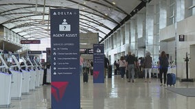 Rat sightings at DTW gains attention as videos hit the internet