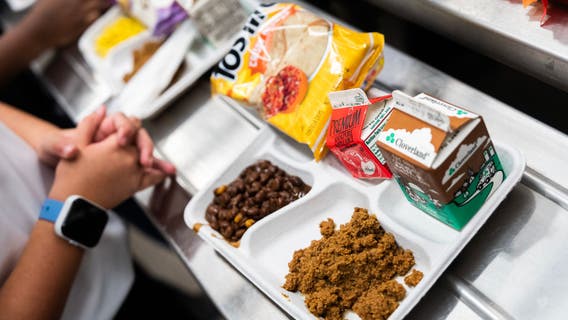 Michigan free school lunches: State's budget remains in flux, what parents should know