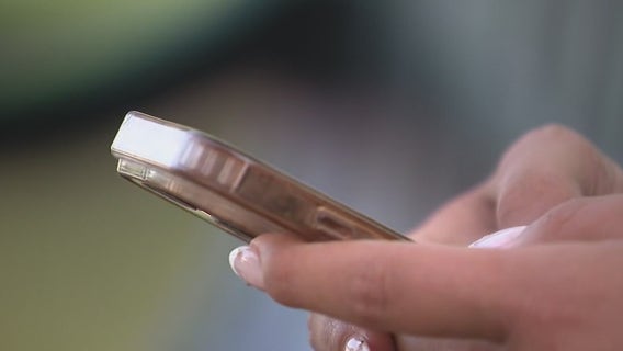 Divorces spike in Dearborn allegedly linked to the 'Tea' App