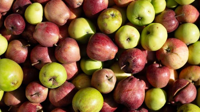 LIST: Southeast Michigan cider mill opening dates