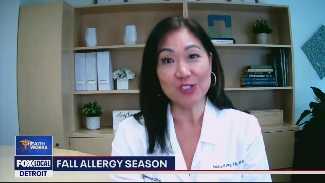 Fall allergies are around the corner - here's what to know