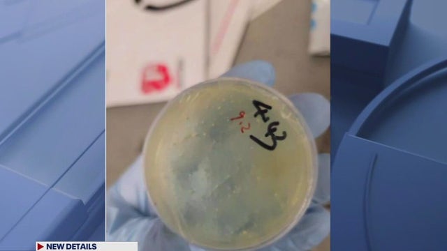 Chinese National from Wuhan pleads no contest to smuggling bio materials for work at U-M lab