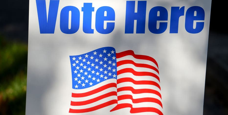 Michigan primary elections: How to preview your ballot