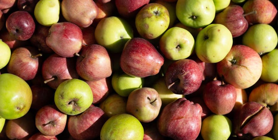 LIST: Southeast Michigan cider mill opening dates