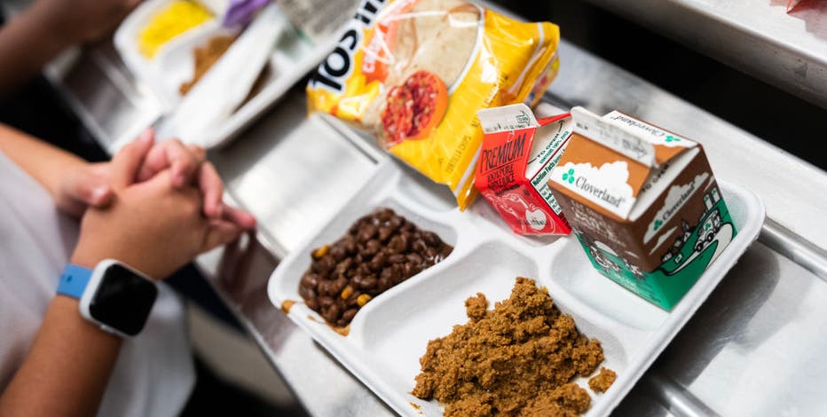 Michigan free school lunches: State's budget remains in flux, what parents should know