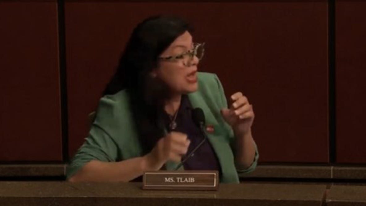 Rashida Tlaib's 'fascist' comment sparks wild House hearing shouting match