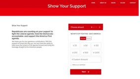 Massachusetts man ordered to remove fake political sites targeting Michigan voters