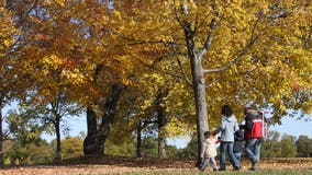 Huron-Clinton Metroparks looking for new programming ideas with community survey