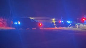 Truck overturns after striking control box near train tracks in Brownstown Township