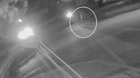 Monroe County man allegedly assaulted 11-year-old, arrested on camera