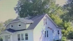 Dog leaps from second-floor window; Detroit Police investigating