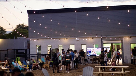 Barkside Southfield dog park and bar opens this weekend - What to know