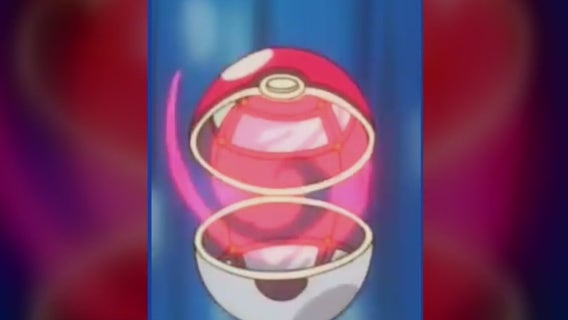 Department of Homeland Security posts video of ICE arrests with 'Pokémon' song