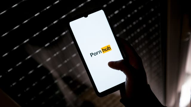 'It’s killing our morality': Michigan Republican on why he introduced statewide porn ban