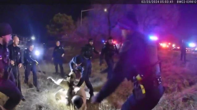 Sterling Heights police return to court after excessive force allegations