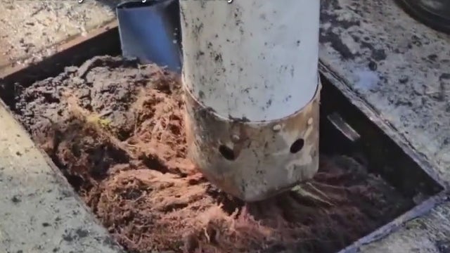 Wayne County rolls out new stormwater management push