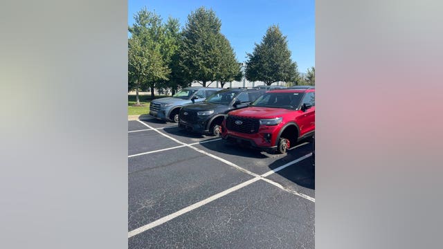 Wheels stolen off vehicles at Dundee Ford dealership